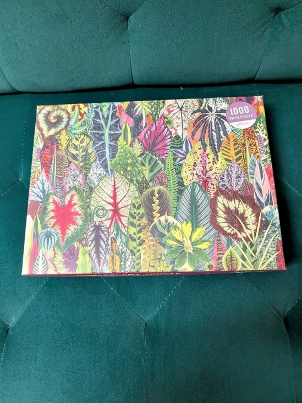 🧩 Galison Houseplant Jungle 1000-Piece Jigsaw Puzzle ALL PIECES PRESENT